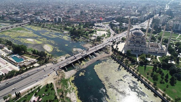 Seyhan Nehri yosunlar nedeniyle yeşile büründü