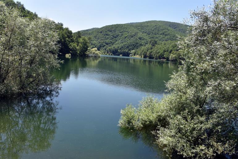 Bilecik'in gölet zengini adresi: Pazaryeri