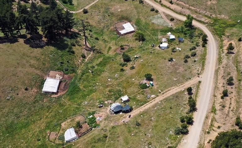 Konya'nın 'yayla cenneti' Anamas Dağı