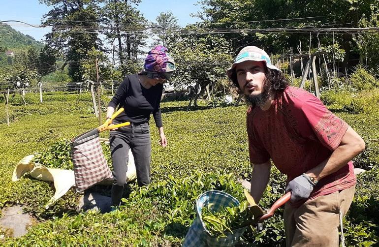 Ülkelerine dönemeyen 4 yabancı gezgin, 5 aydır Artvin´de kalıyor