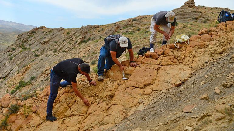 Iğdır'da bulunan yaprak ve midye fosilleri geçmişi aydınlatacak