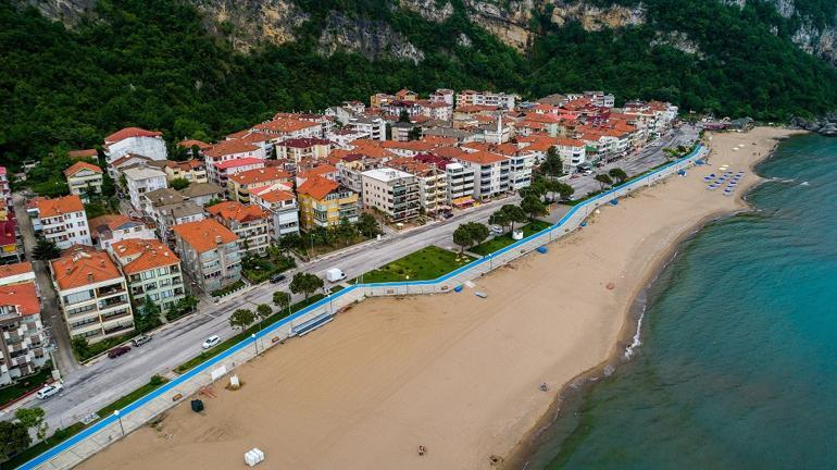 Bartın'da sahildeki kum zambakları koruma altında