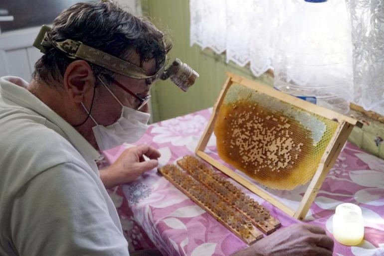 Kilosu 8 bin TL Talebe yetişemiyorlar