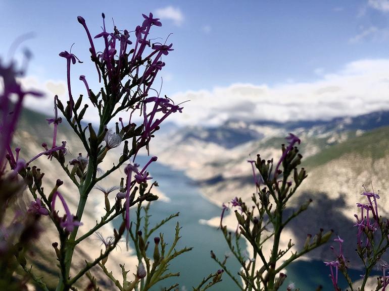 Çoruh Nehri'nin etkileyici görünümü