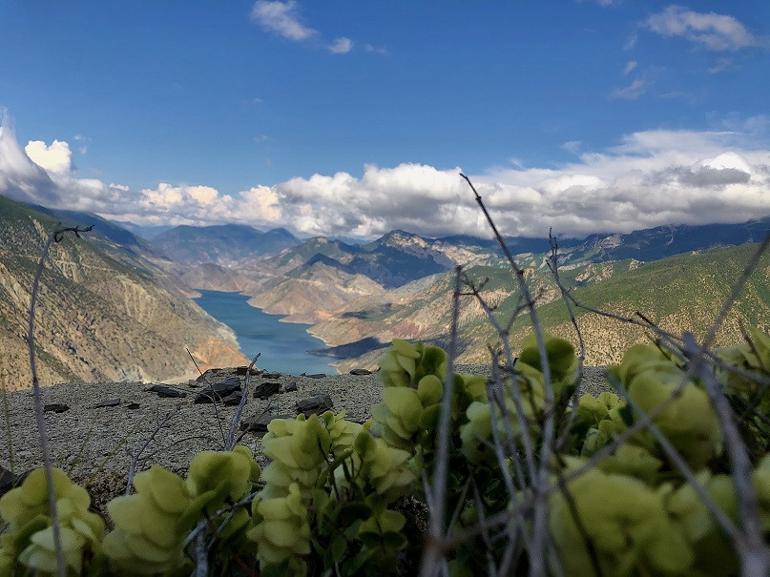 Çoruh Nehri'nin etkileyici görünümü