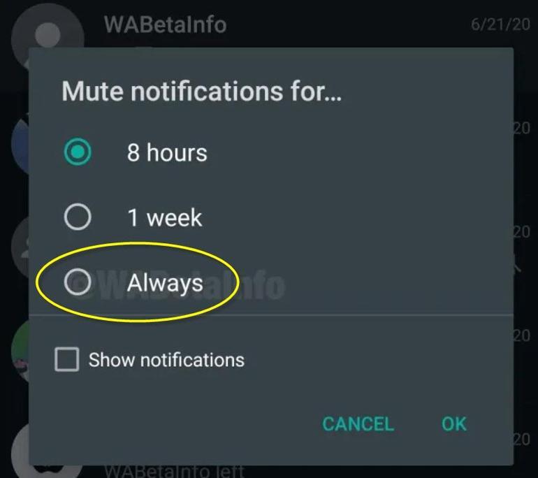 WhatsApp'ta sohbetler 'her zaman' sessize alınabilecek