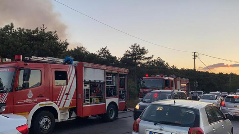 son dakika haberi atasehir kayisdagi nda korkutan orman yangini son dakika haberler