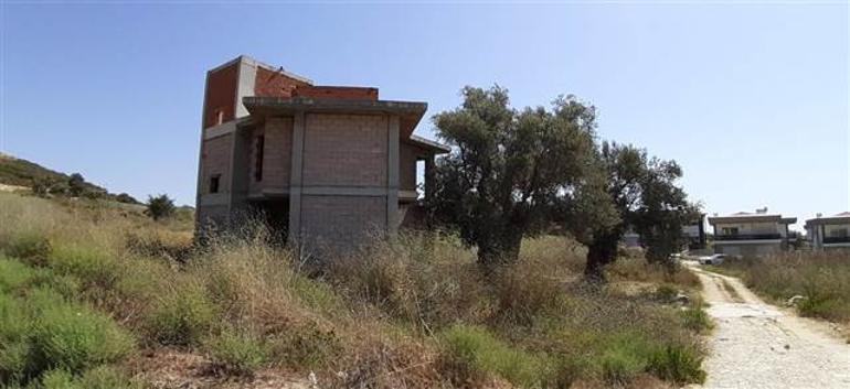 1500 yıllık zeytin ağacının hemen yanına villa yaptılar