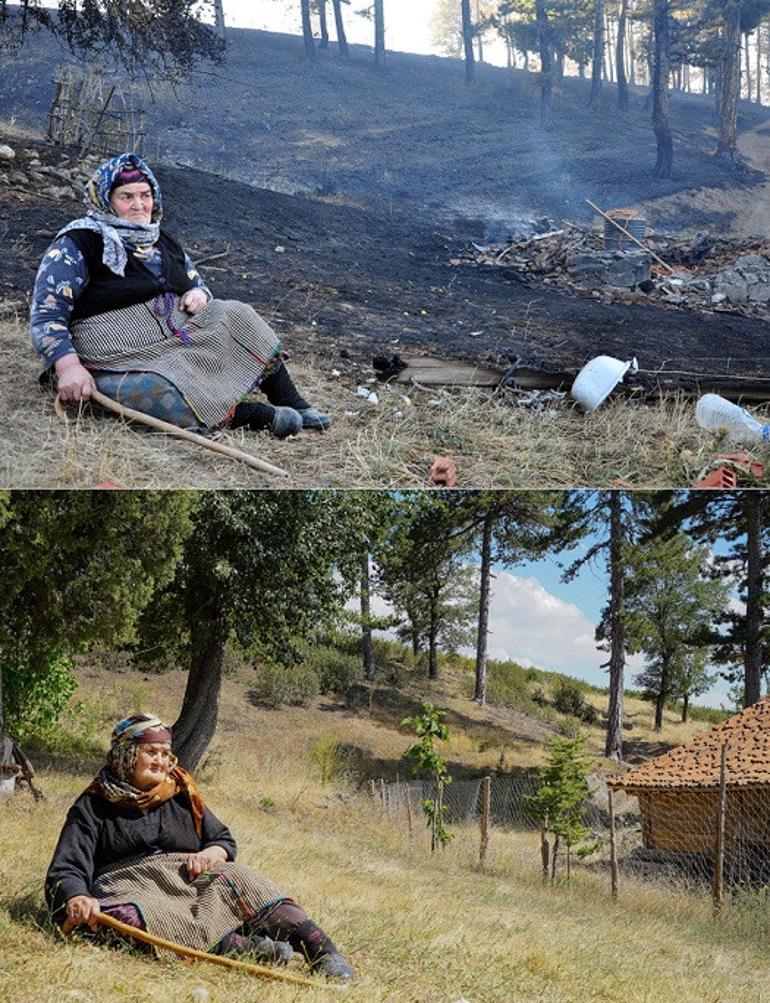 Firdevs ninenin gözyaşı döktüğü yanmış ağaçların yerinde fidanlar yeşeriyor