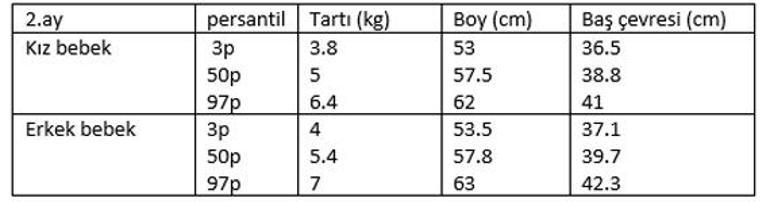 Bebegin Anne Karinindayken Hafta Hafta Boy Ve Kilo Listesi