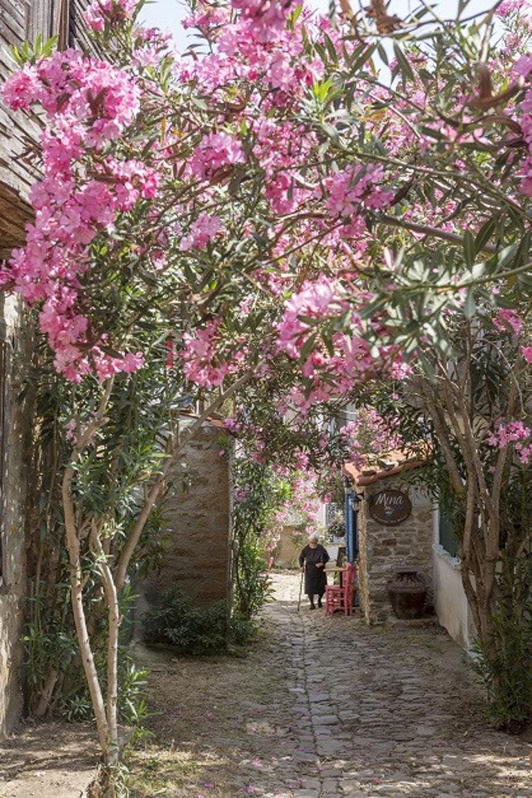 Gökçeada’da çocukla yavaş tatil