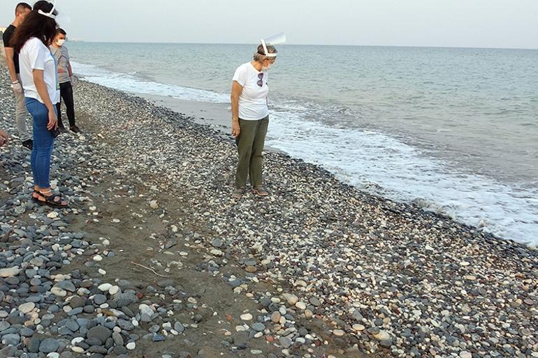 Kumsal temizliği yapanlara deniz kaplumbağası sürprizi