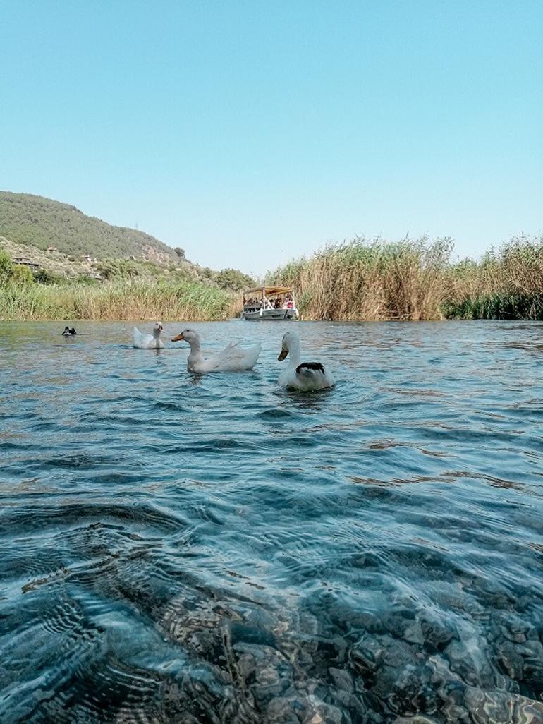 Ege'nin mavi ve yeşil güzeli: Akyaka