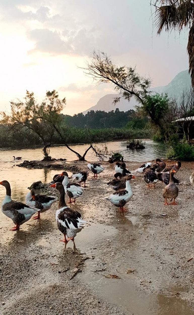 Ege'nin mavi ve yeşil güzeli: Akyaka