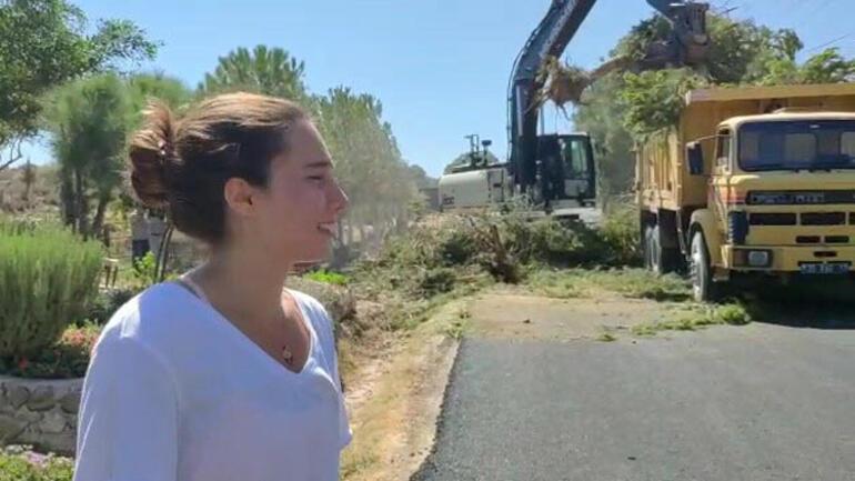 CHPli belediyenin ağaç katliamını gözyaşlarıyla anlattı