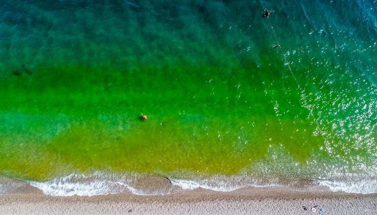 Antalya'da deniz yeşile döndü, tatilciler korktu