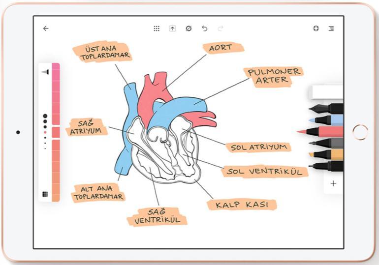 Öğrencilere yönelik geliştirilen iPad uygulamaları