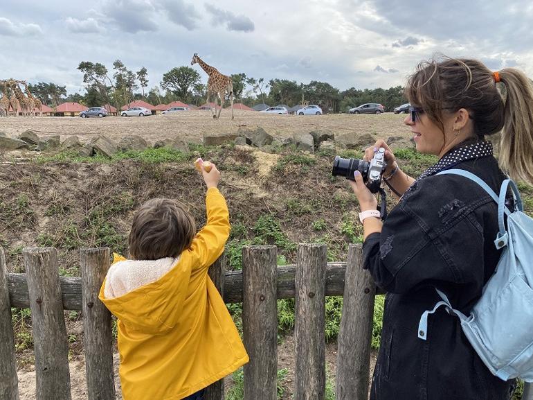 Avrupa’da safari deneyimi: Beekse Bergen