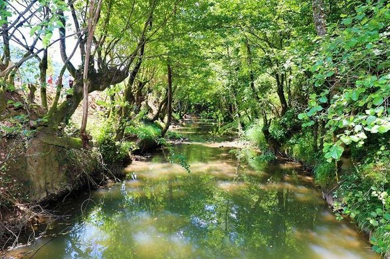 Körfez’in doğal güzellikleri büyülüyor