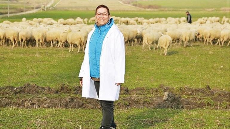 Yerel tohumlar tüketiciyle buluşuyor