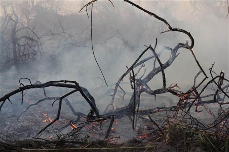 Bird Paradise turned 'to hell'