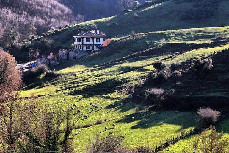 İstanbul’un tabiata açılan kapısı... Sonbaharda Şile’ye gitmek için 6 neden