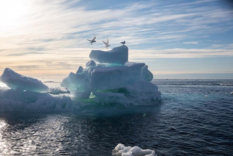Kuzey Kutbu buzullarında en düşük 2. düzey ölçüldü