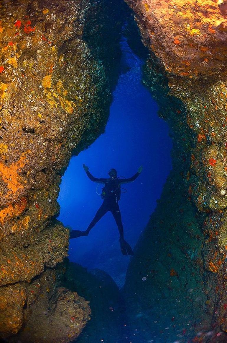 Japon sualtı fotoğrafçısı, falezlere hayran kaldı