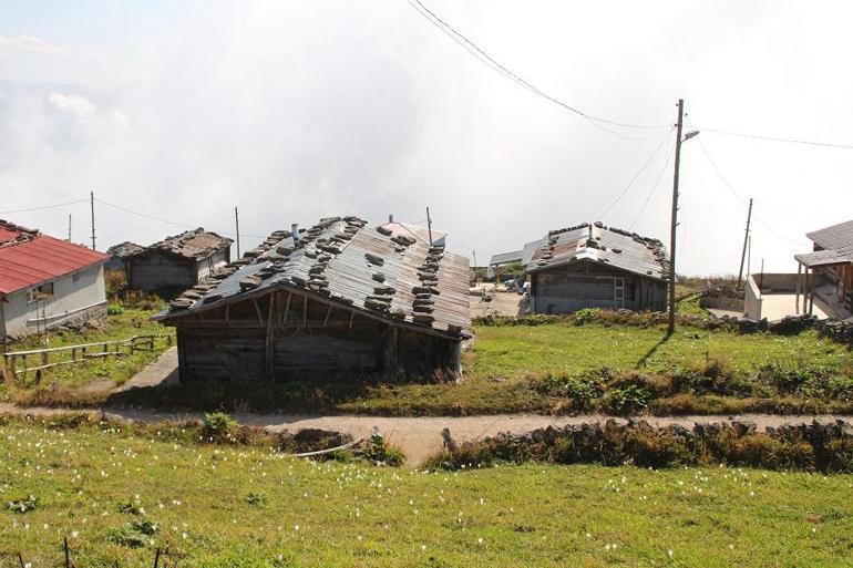 Karadeniz'de yayla dönüşlerine 'koronavirüs' rötarı