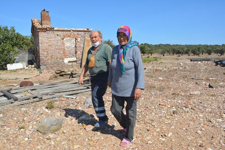 17 yıldır burada yaşıyorlar! Bugüne kadar grip bile olmadı