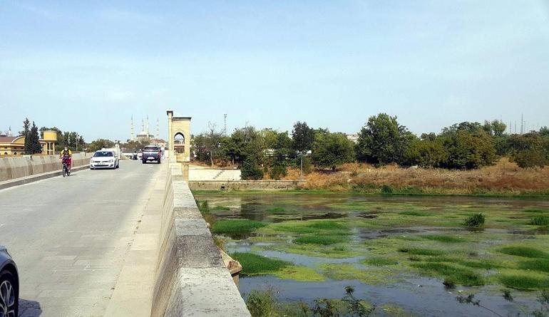 Tunca Nehri yeşile büründü! Trakya'da kuraklık...