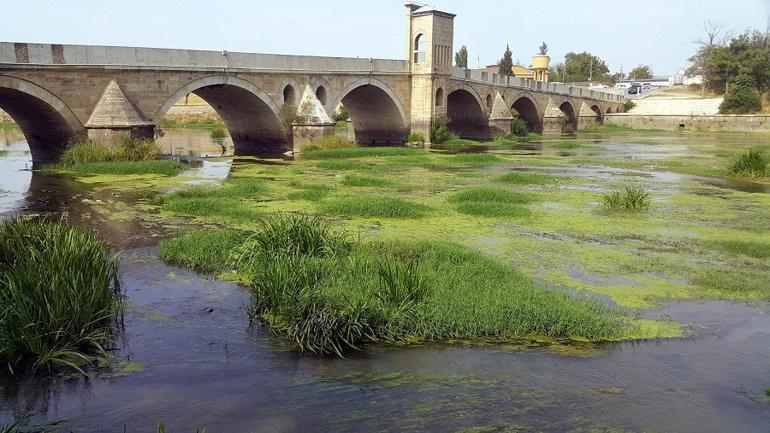 Tunca Nehri yeşile büründü! Trakya'da kuraklık...