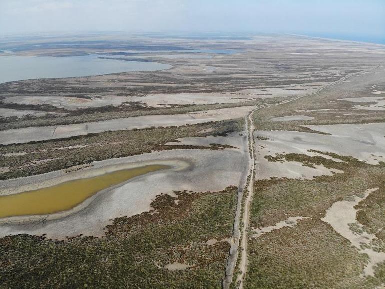 Kızılırmak Deltası'nda korkutan görüntü