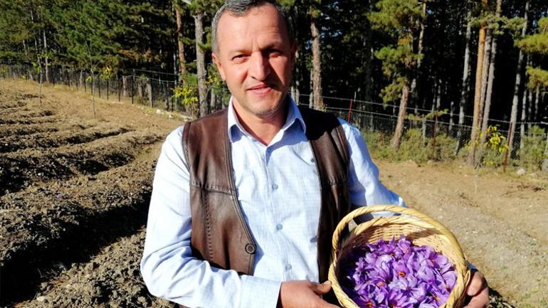 Hasadına başlandı... Kilosu 40 bin TL