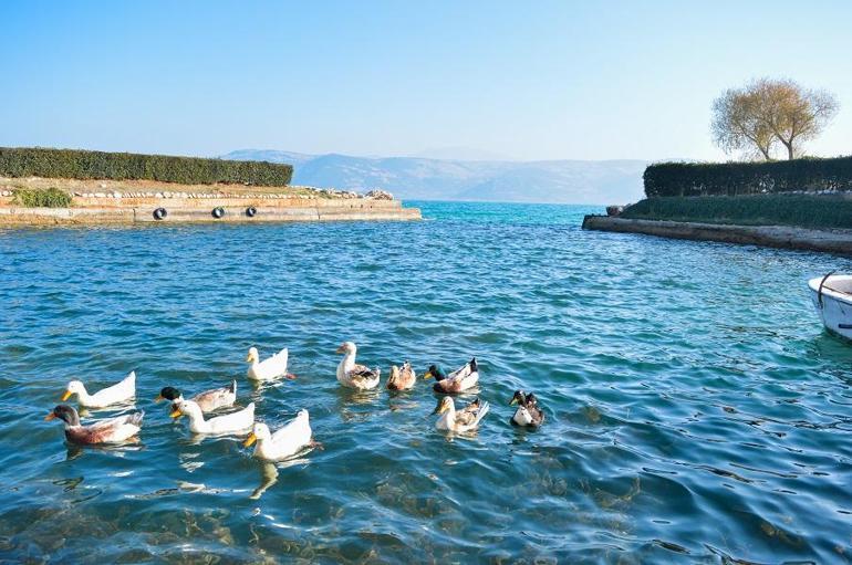 Çiçeklerin başkentinde doğayla baş başa