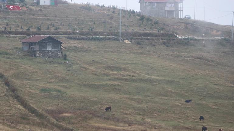 Trabzon'un Barma Yaylası'na doğa müzesi ve eğitim merkezi kurulacak