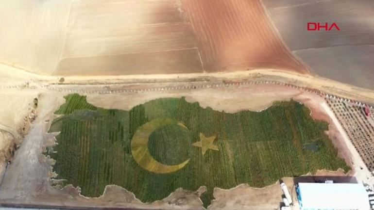 Son dakika… Cumhurbaşkanı Erdoğan’dan önemli açıklamalar