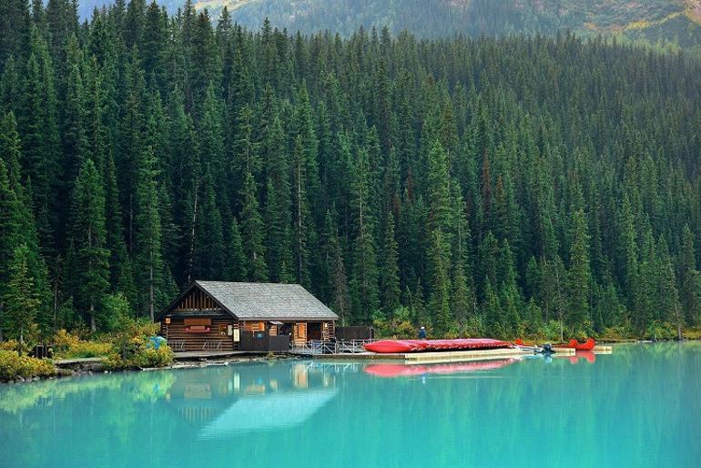 Kuzey Amerika'nın cennet bölgesi: Alberta