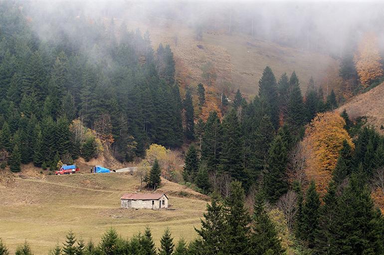 Tarihi İpek Yolu'nda sonbahar güzelliği