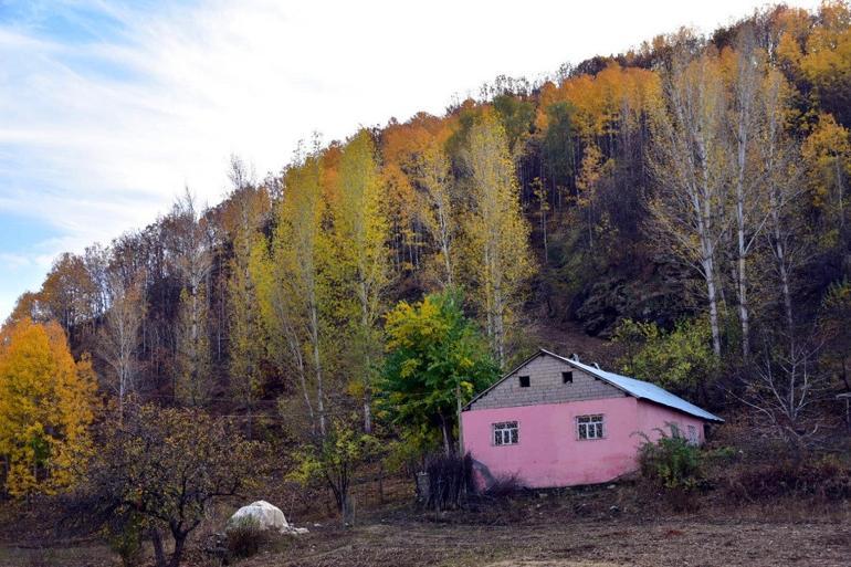 Muş'ta sonbaharın güzellikleri fotoğraf kareleriyle ölümsüzleştirildi