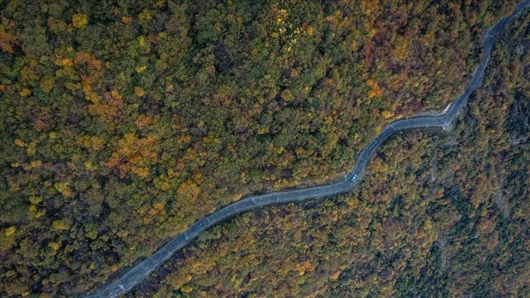 Uludağ'ın eteklerindeki 'Çalıkuşu'nun köyünde' sonbahar güzelliği