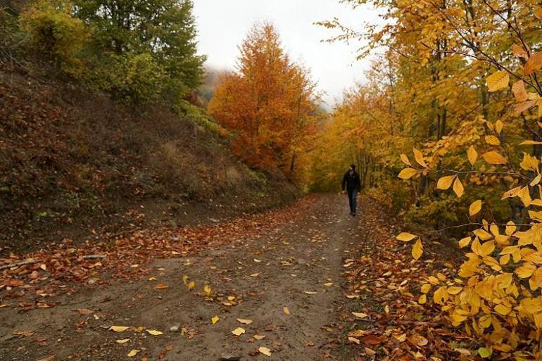 Küre Dağları'nın bir yanı sonbahar bir yanı kış