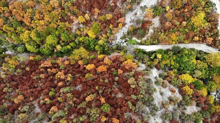 Kastamonu'da Gürleyik Şelalesi hazan renkleriyle görsel şölen sunuyor