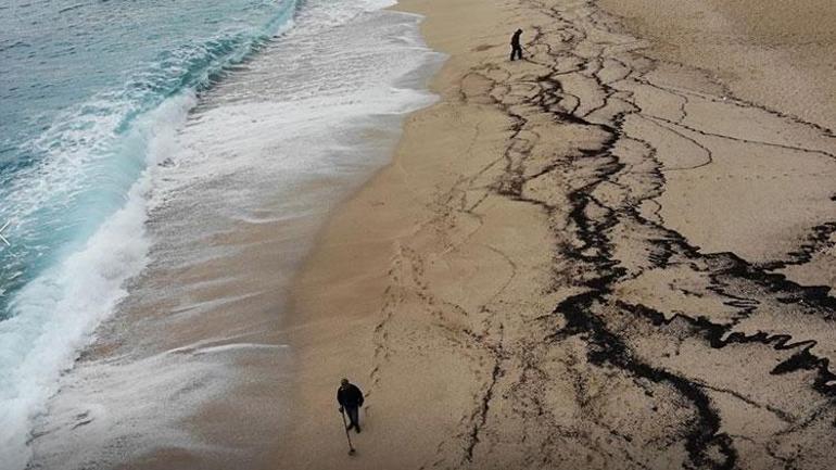 Latest news ... Interesting pictures ... Treasure hunters land on the beach