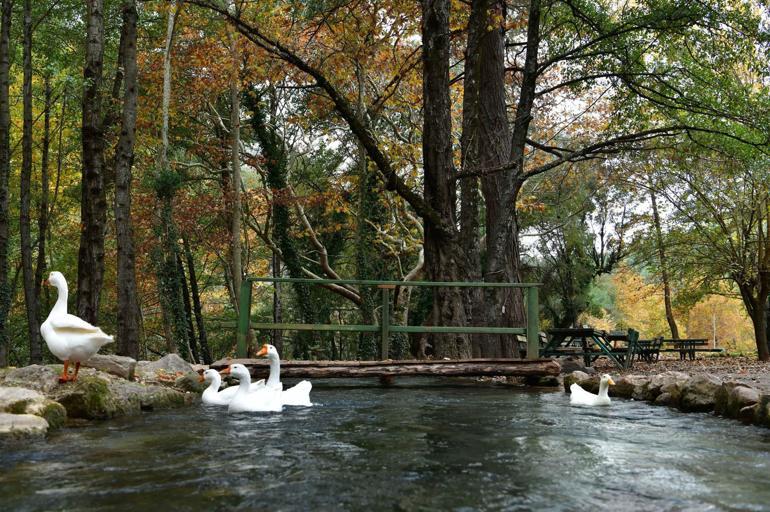 Yazılı Kanyon Tabiat Parkı, doğal güzelliğiyle büyülüyor