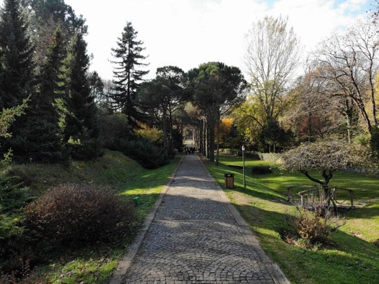 Atatürk Arboretumu’nda sonbaharın son demleri
