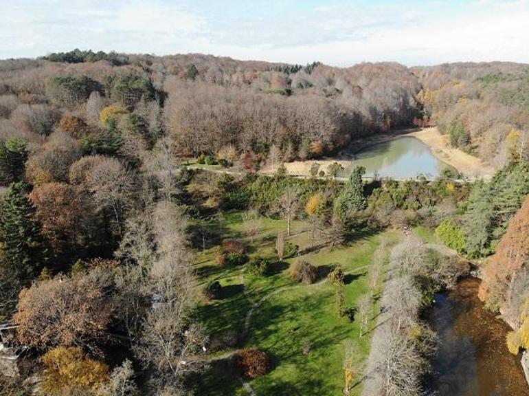 Atatürk Arboretumu’nda sonbaharın son demleri