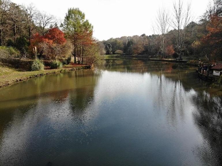 Atatürk Arboretumu’nda sonbaharın son demleri