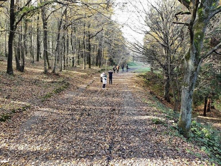 Atatürk Arboretumu’nda sonbaharın son demleri