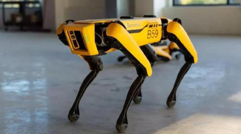 Hyundai, Boston Dynamics'i satın aldı